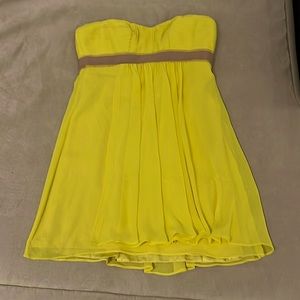 This is a size 4 BCBGMaxAzria dress